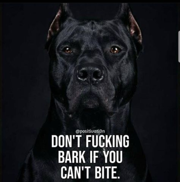 Meet your Posher, Jeremy - Picture 1 of 1